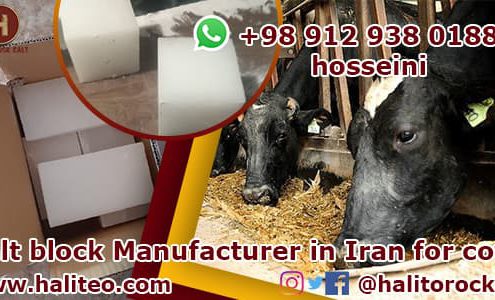cow salt block