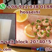 salt block cooking