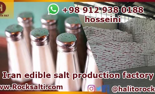 refined salt factory